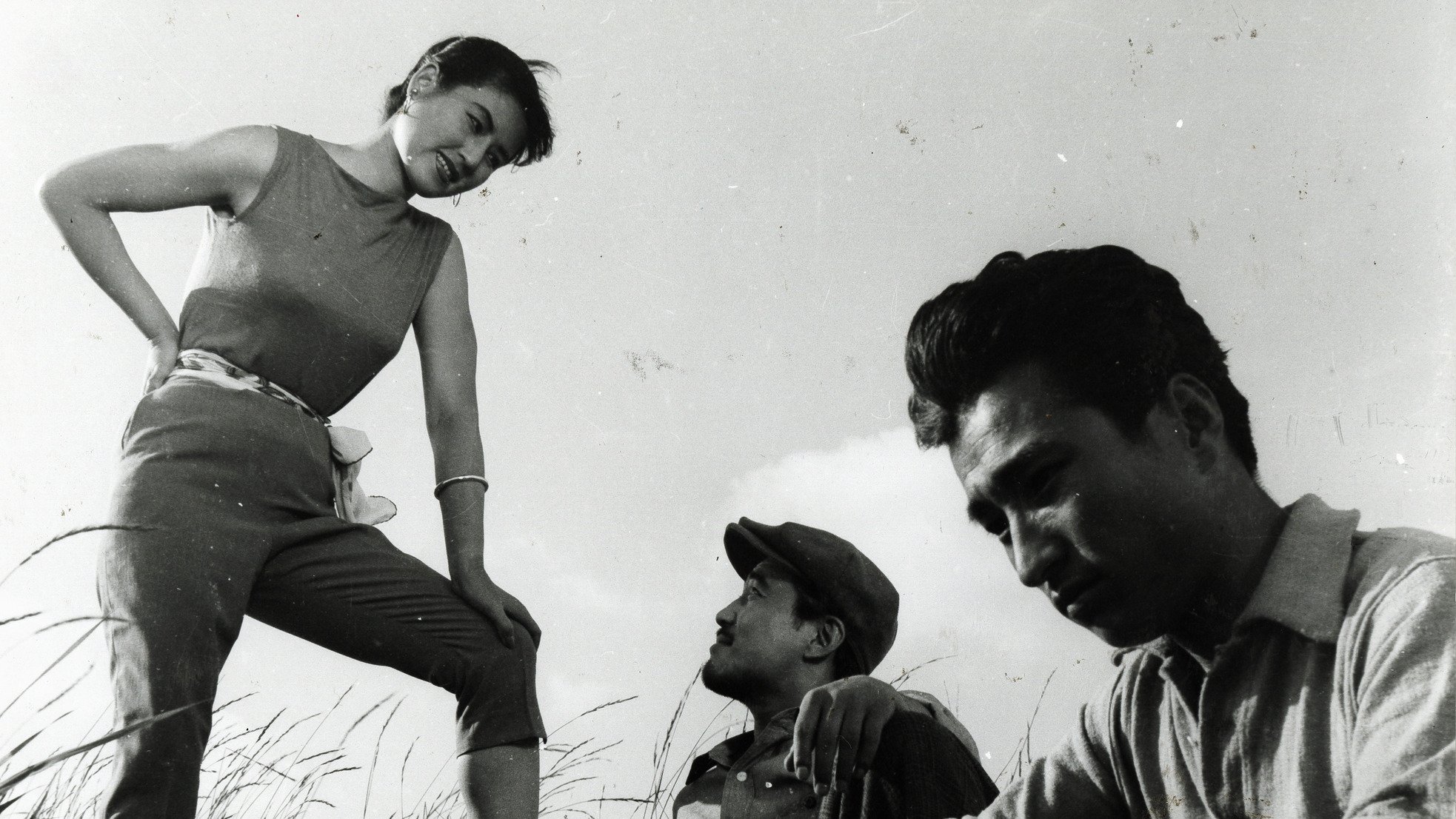 The Flower in Hell Background