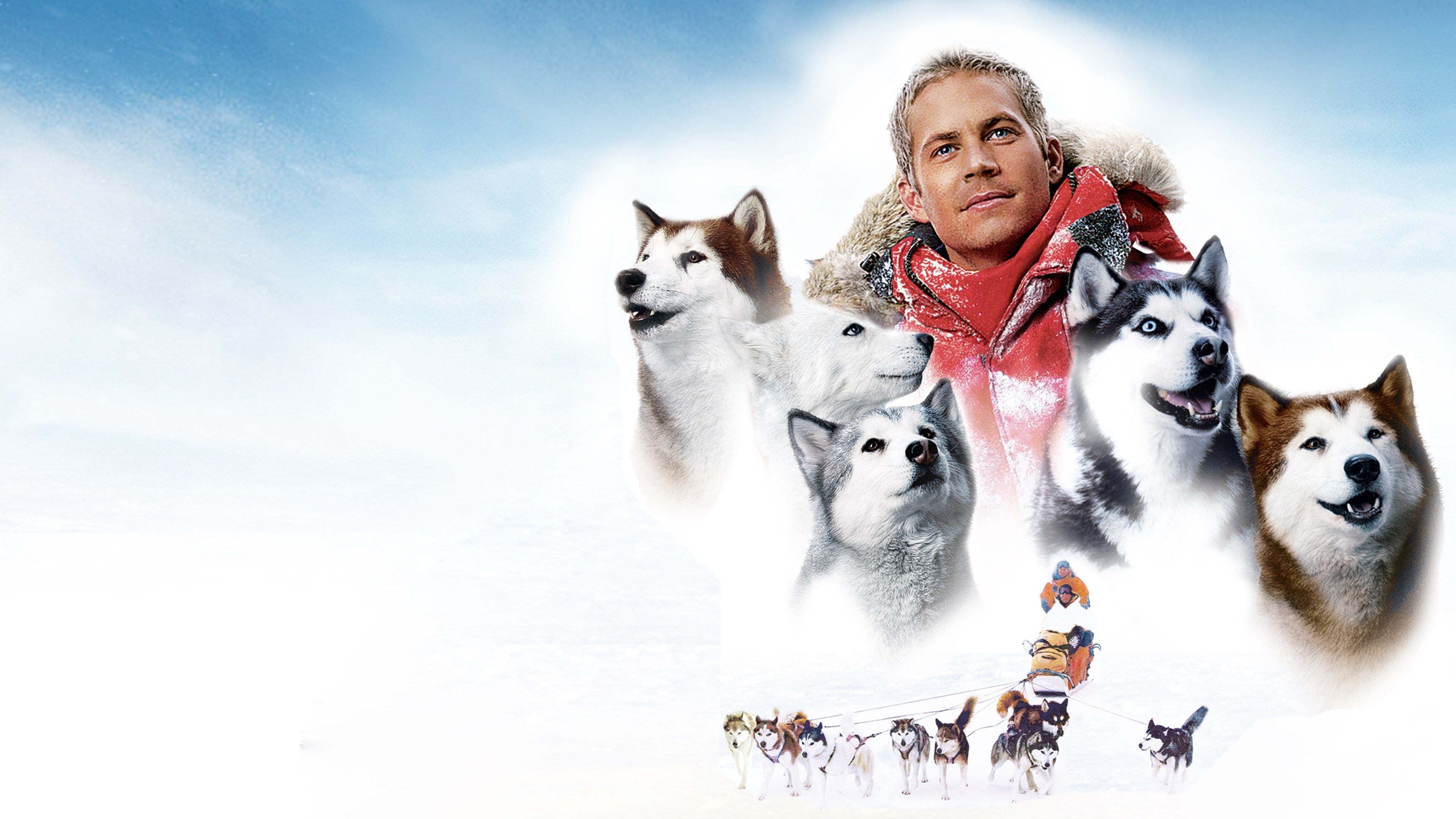 Eight Below Background