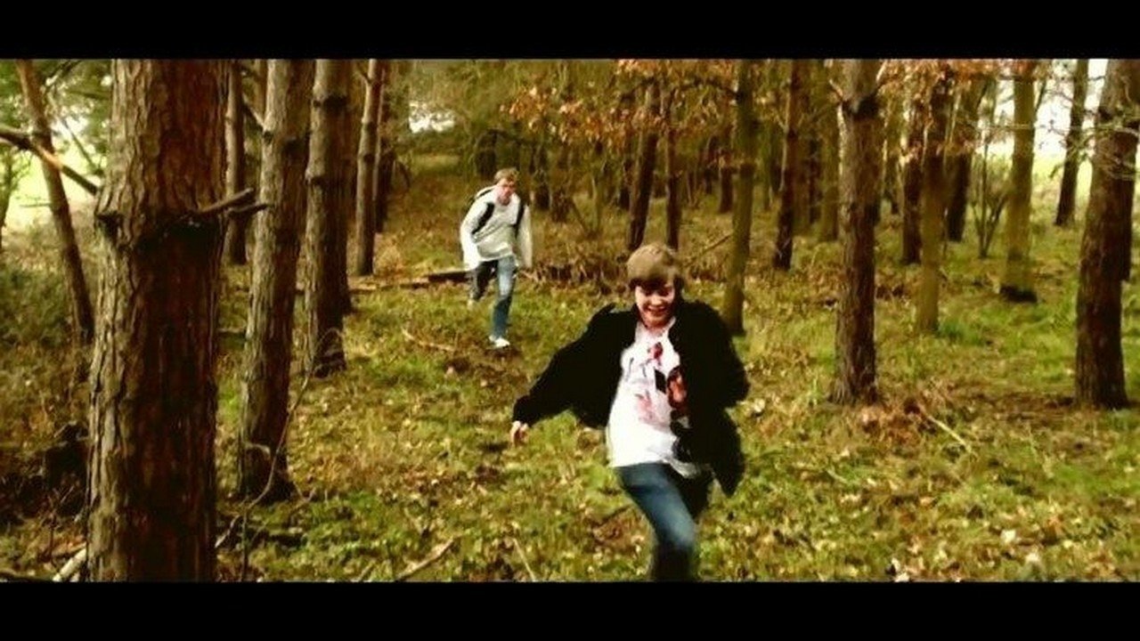 Black Forest Background