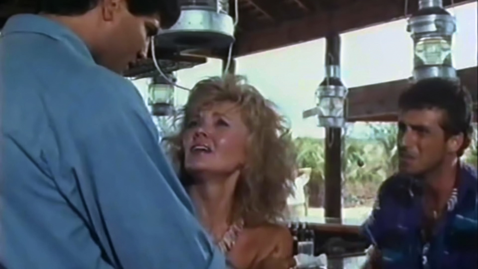 Hammerhead Background