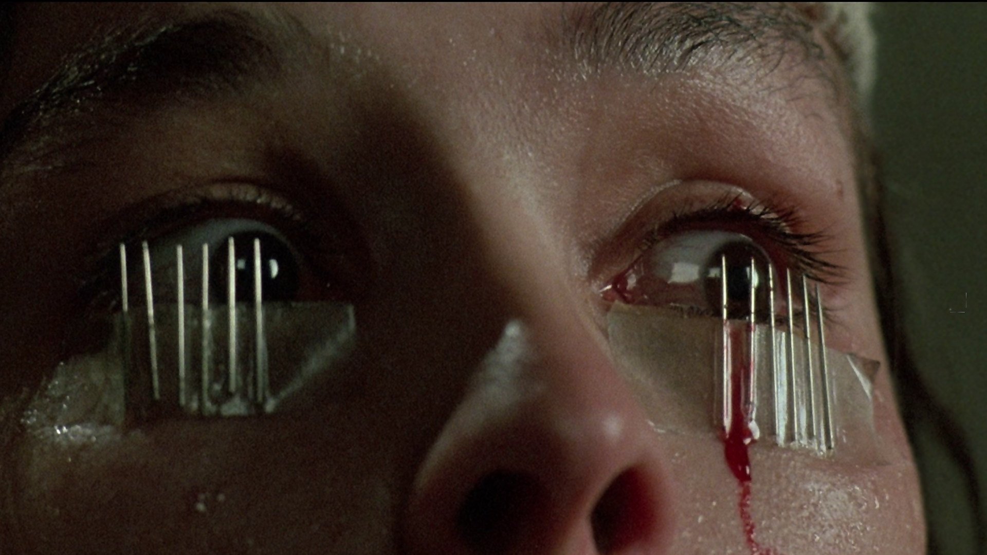 Dario Argento: An Eye for Horror Background