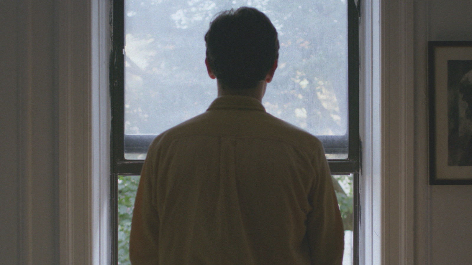 Notes on an Appearance Background