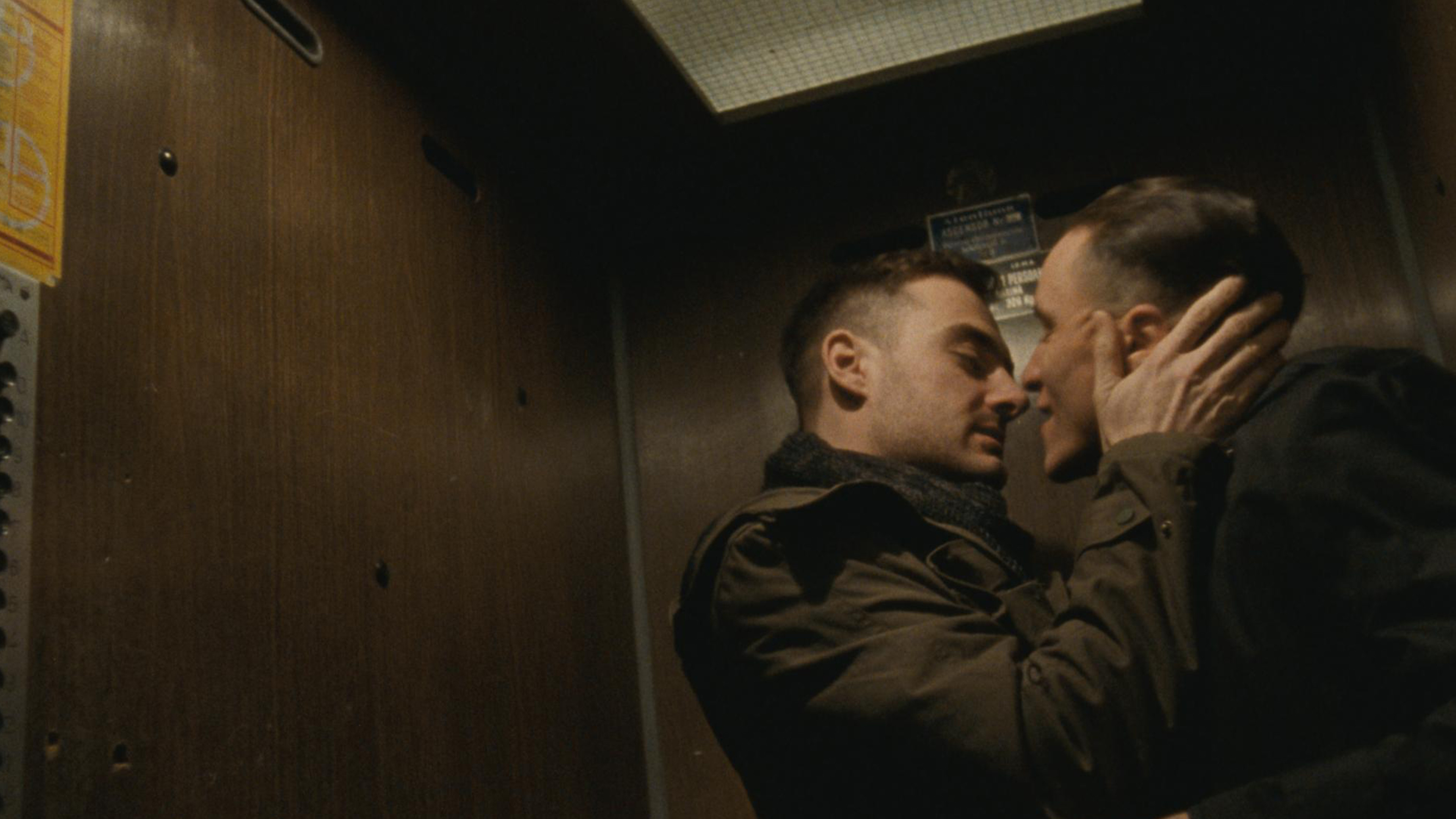 Poppy Field Background