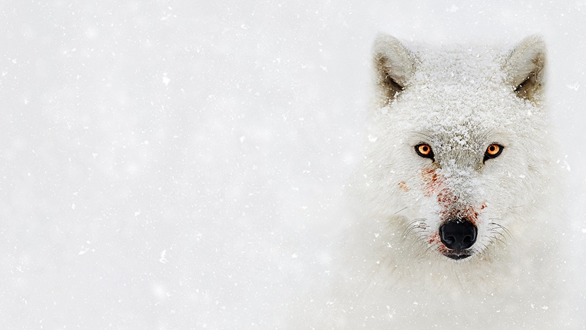 Hostile Planet Background