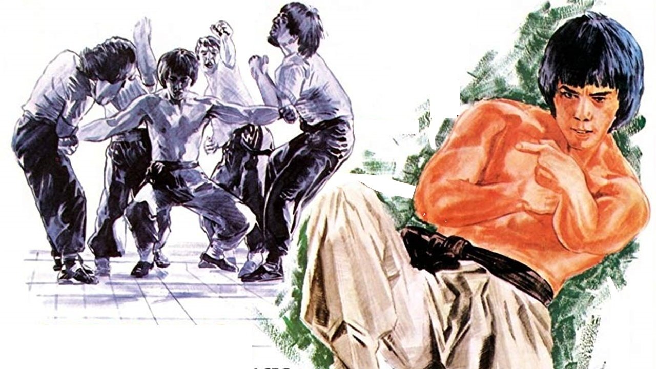 Snake in the Monkey's Shadow Background