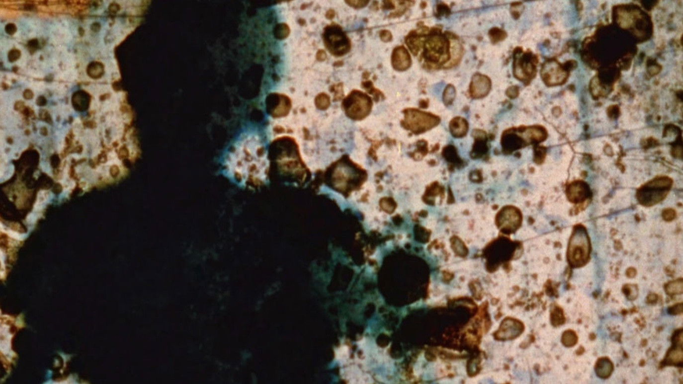 23rd Psalm Branch Background