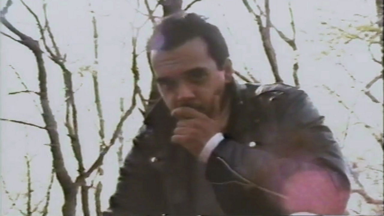 Baby, I'm A Werewolf Background