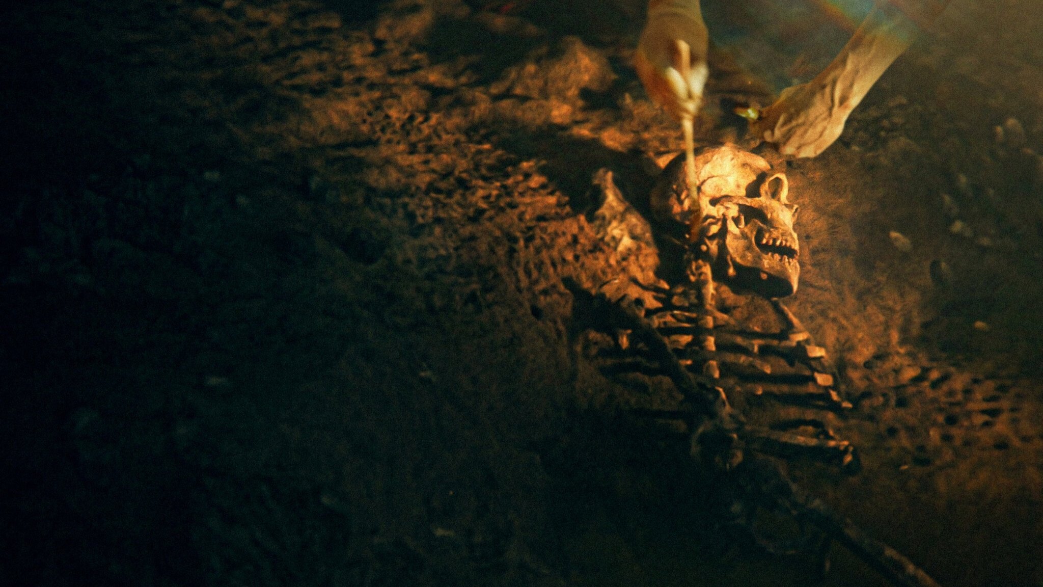 Secrets of the Neanderthals Background