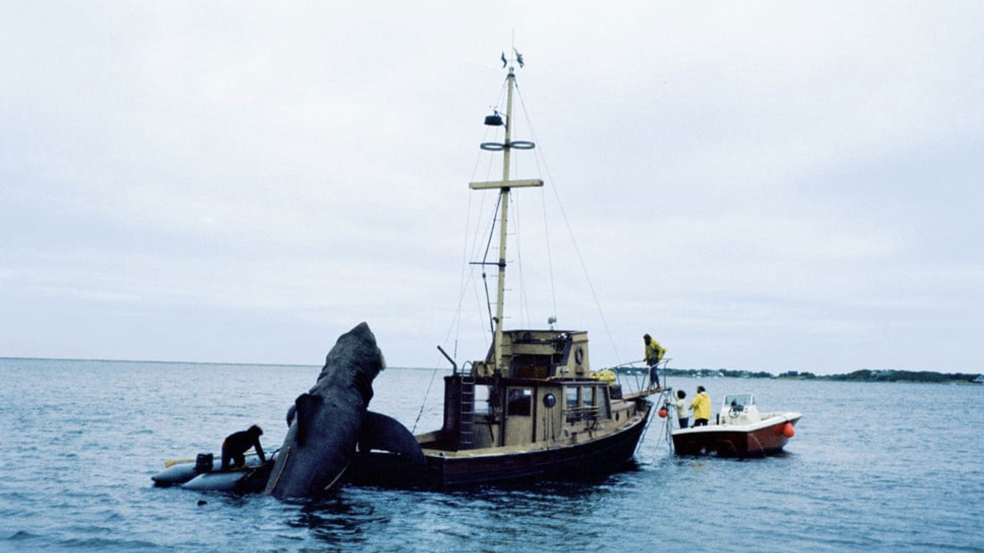 In the Teeth of Jaws Background