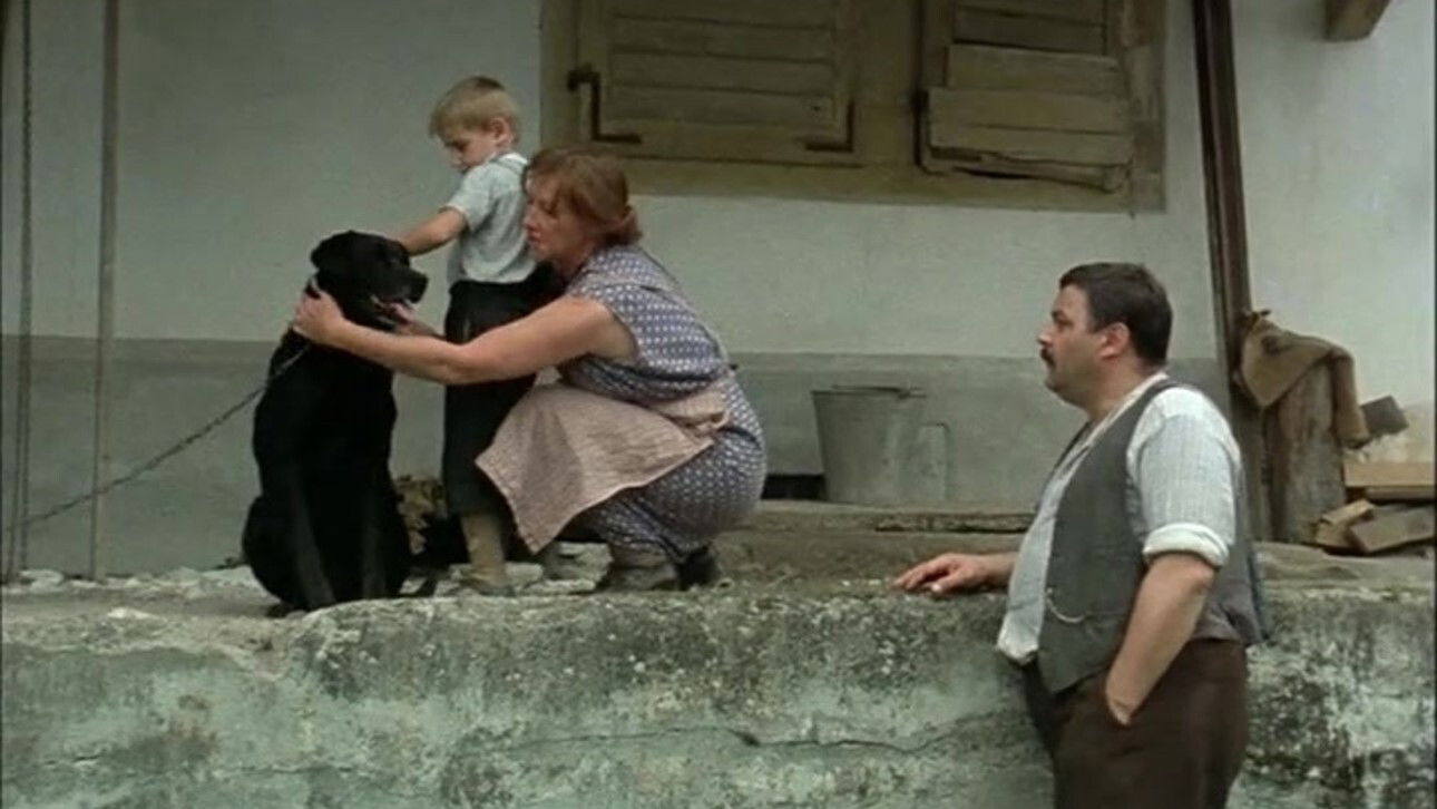 The Boat Is Full Background