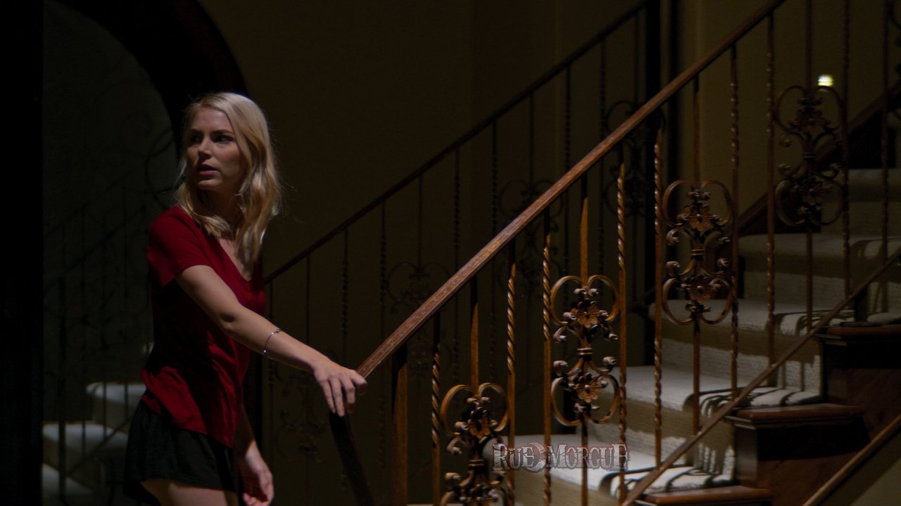 616 Wilford Lane Background