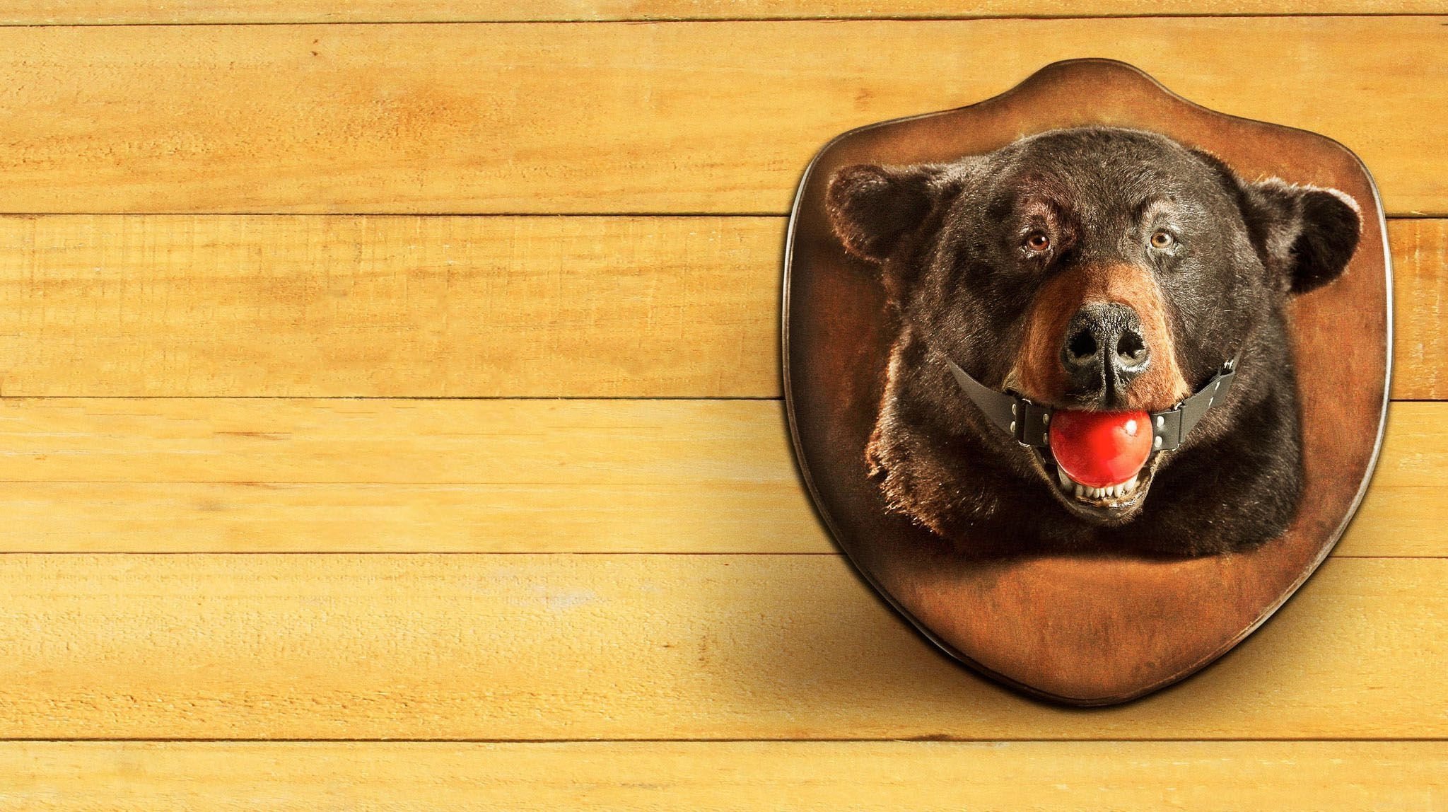 The Guest Book Background