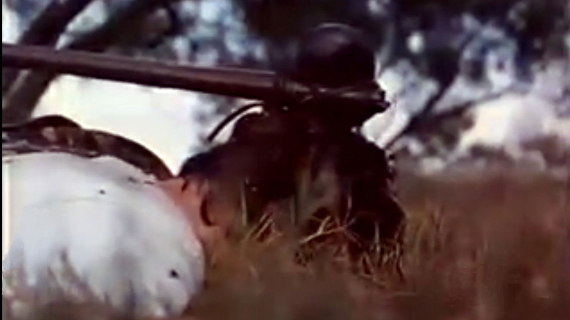 Demon Warrior Background