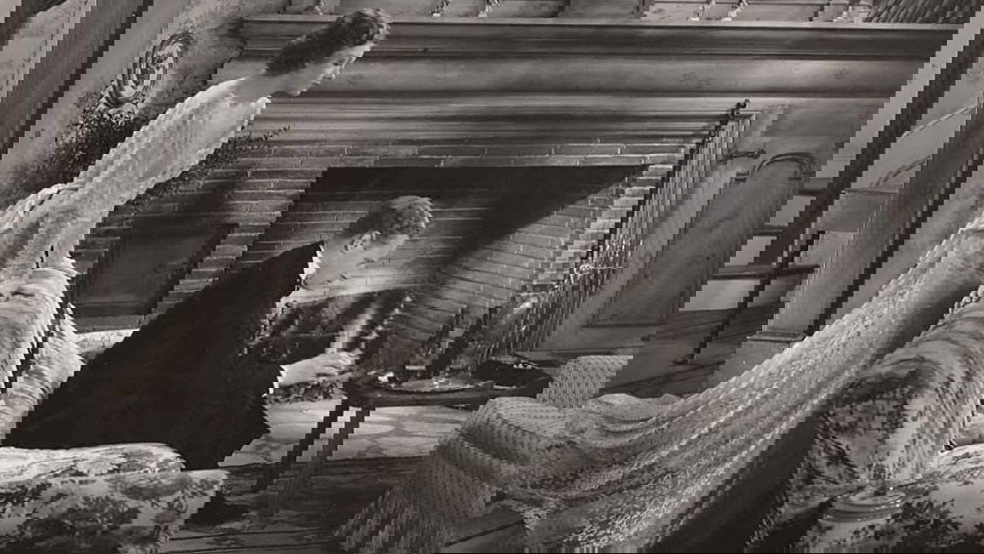 The Animal Kingdom Background