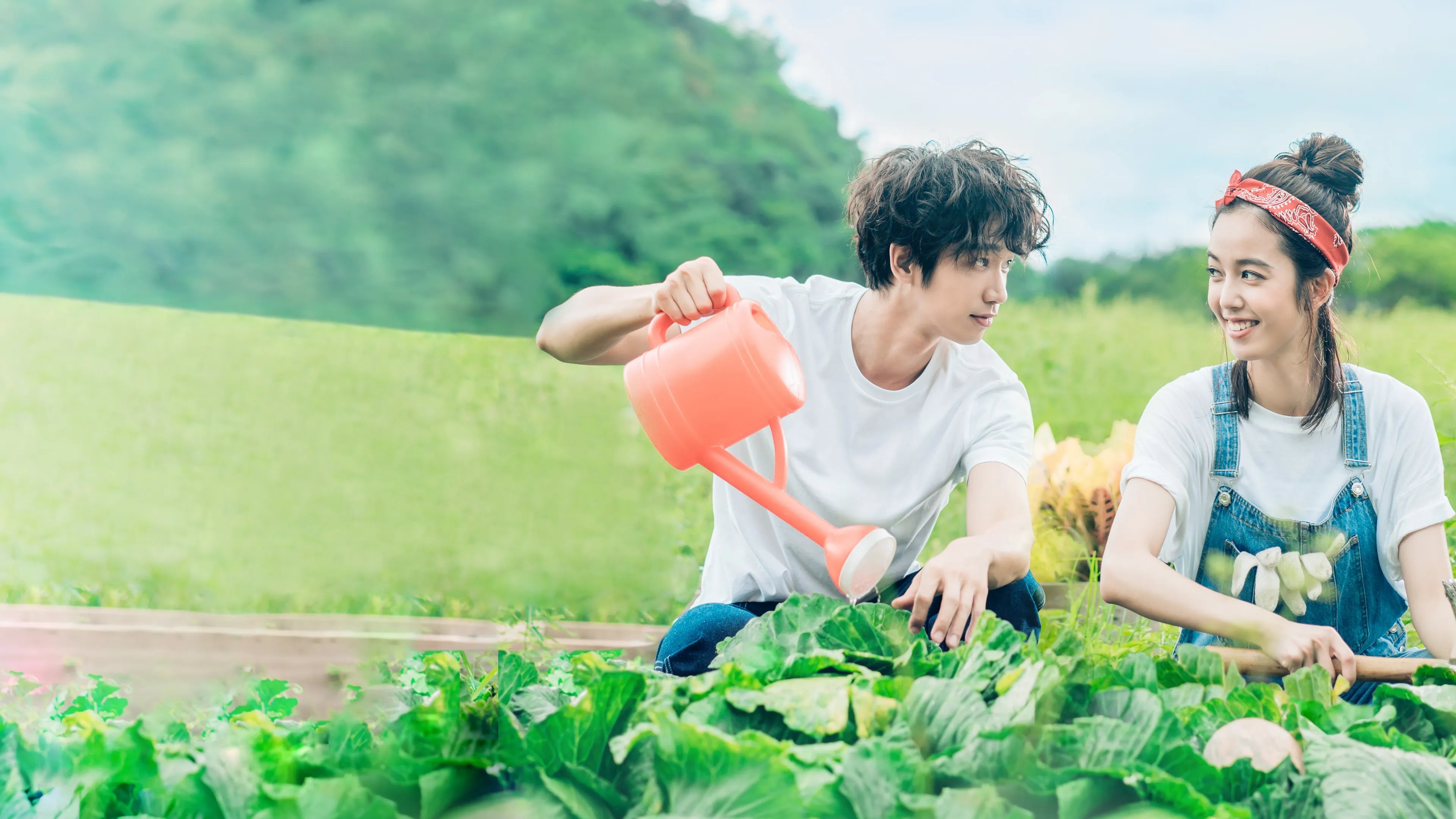 My Goddess Background