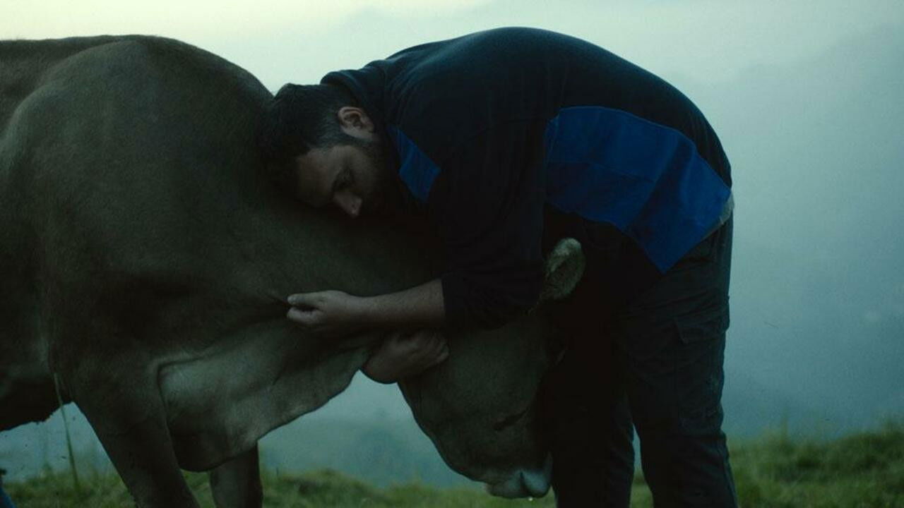 Lessons of Love Background