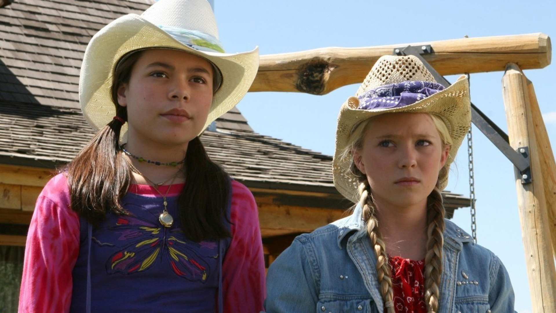 The Wild Stallion Background