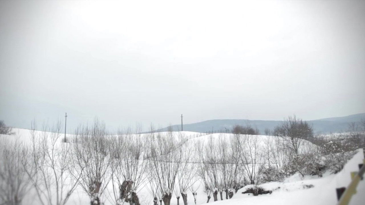 The Devil Within Background