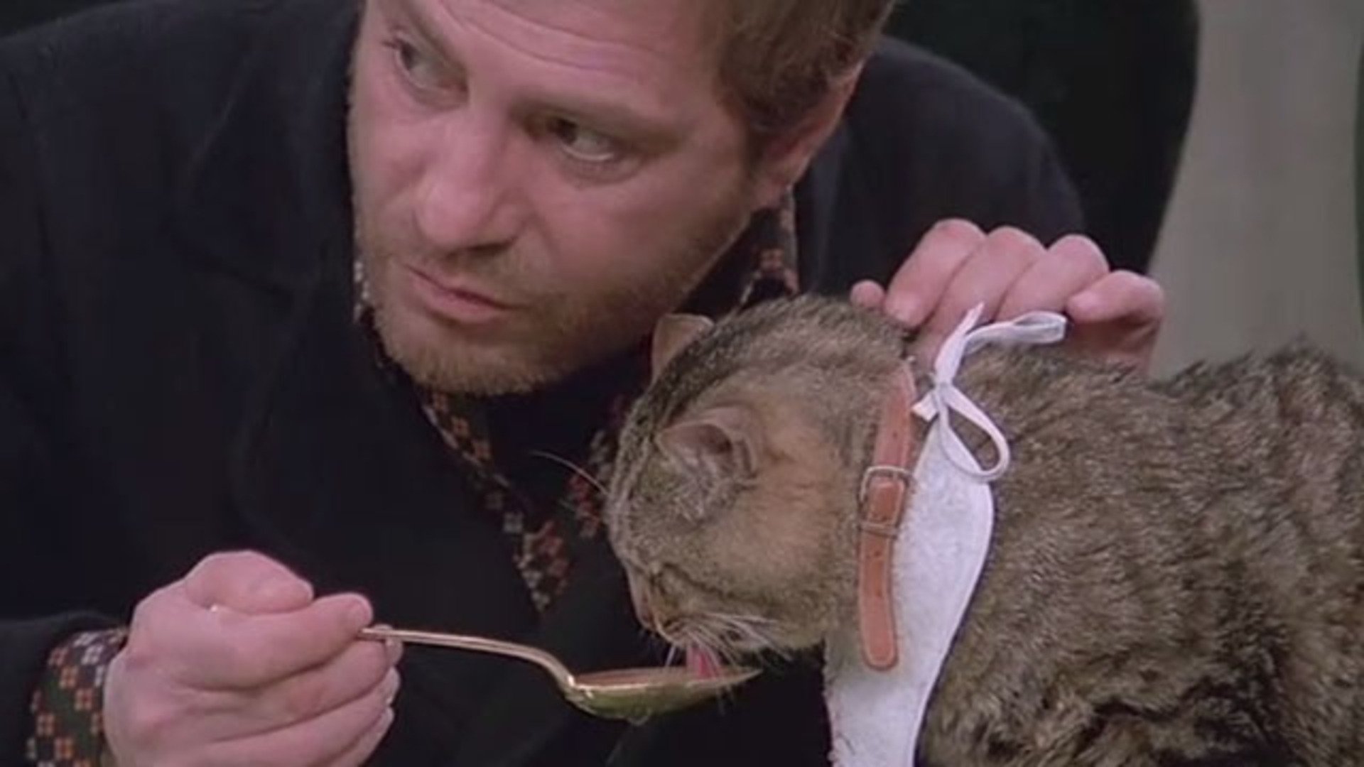 Eye of the Cat Background