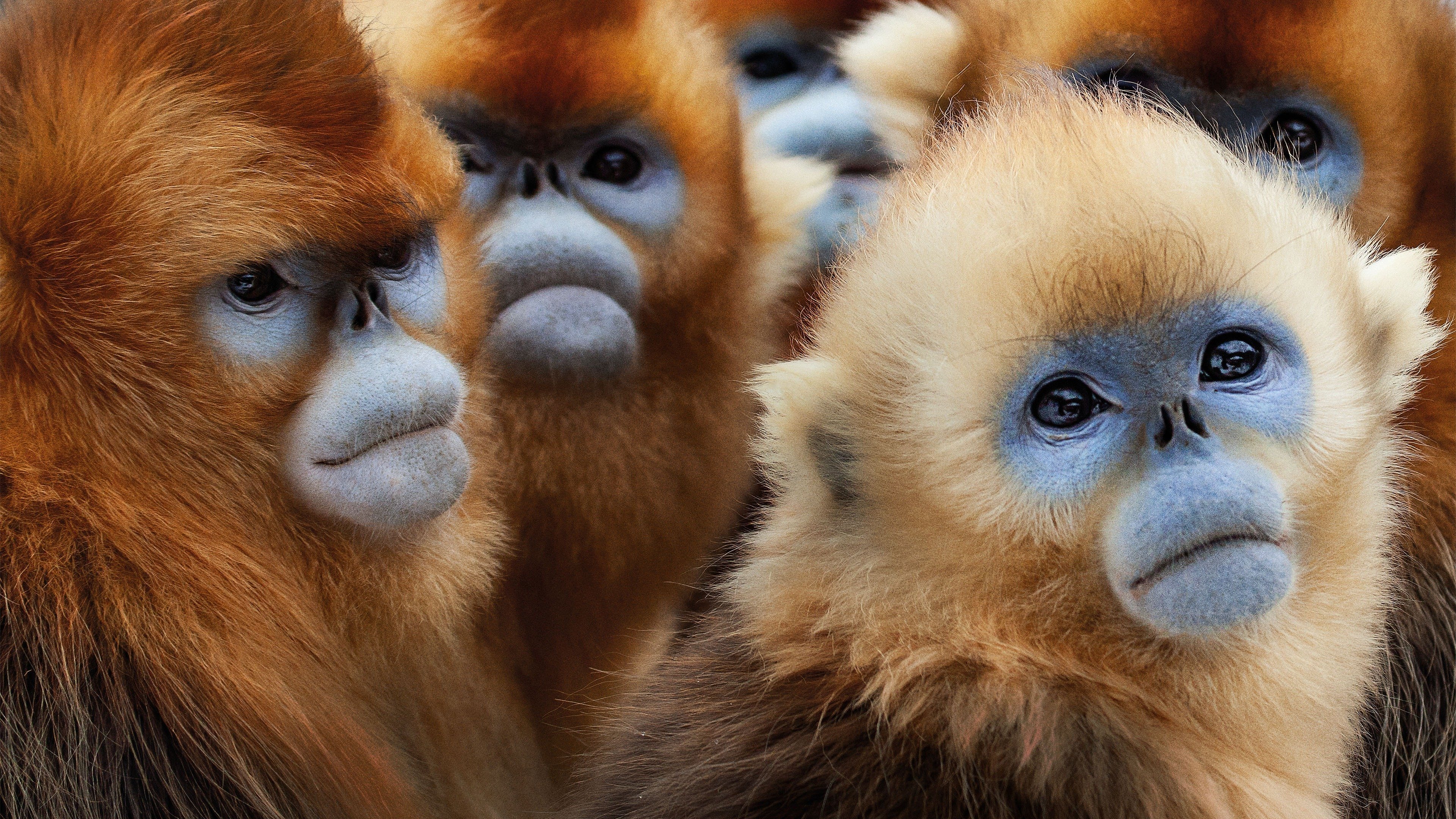 Seven Worlds, One Planet Background