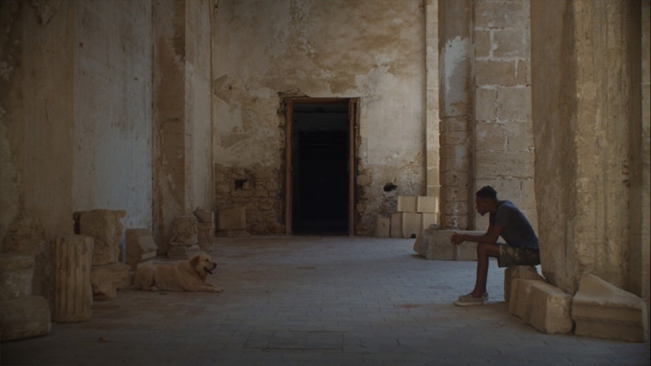 Palermo Sole Nero Background