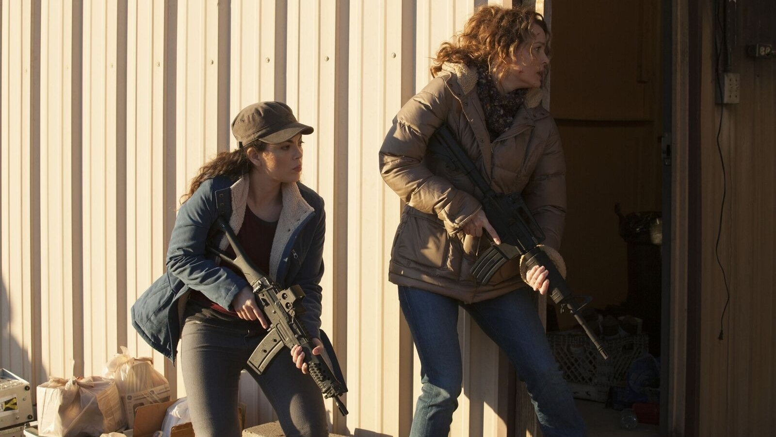 AmeriGeddon Background