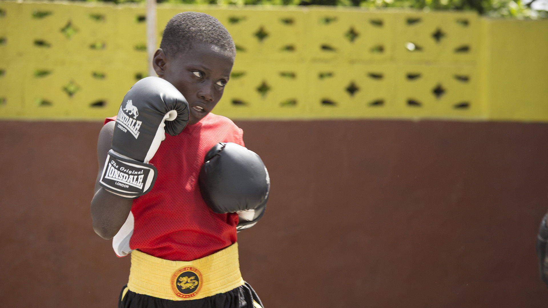 Vice World of Sports Background