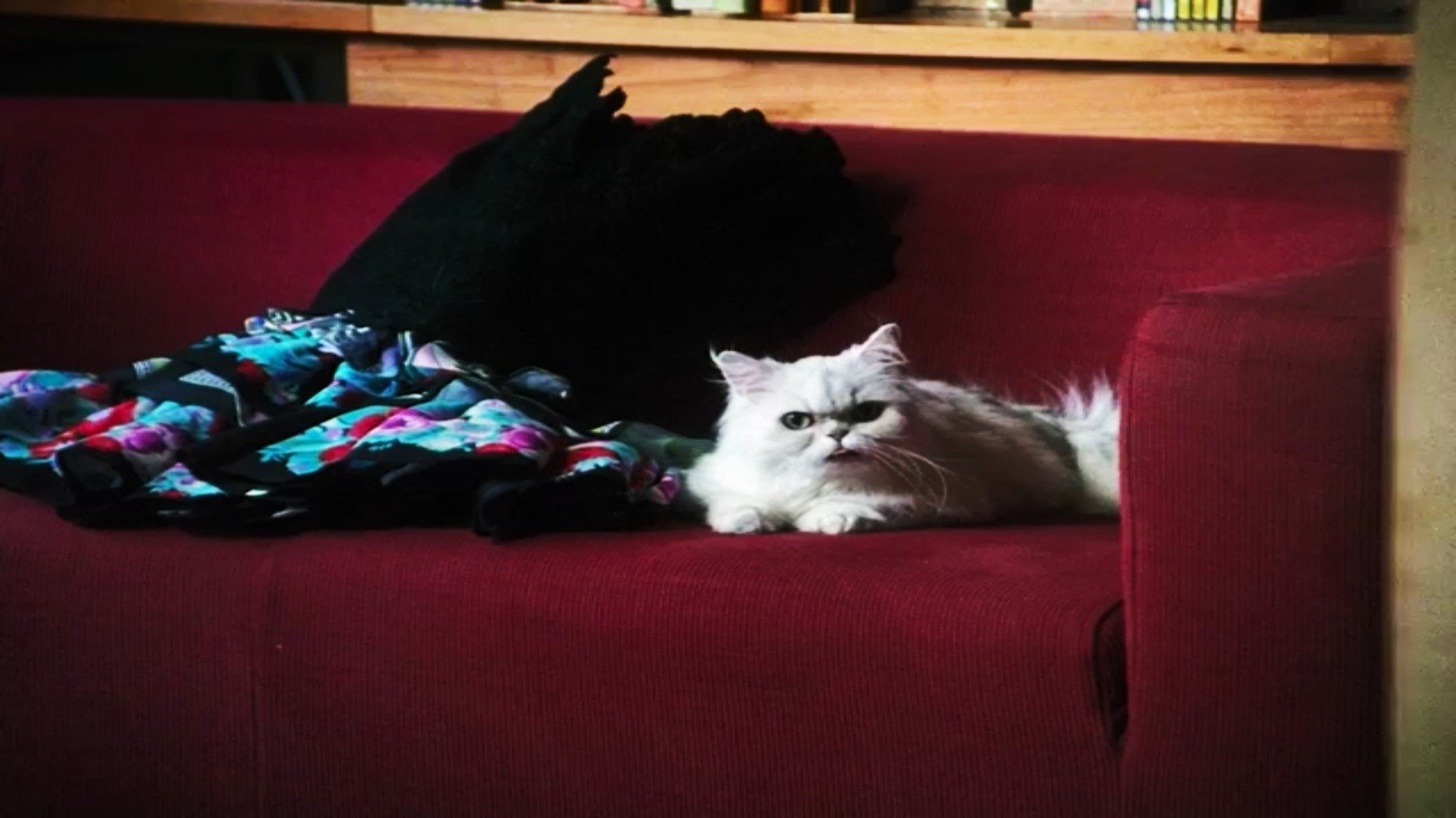 Private Crimes Background