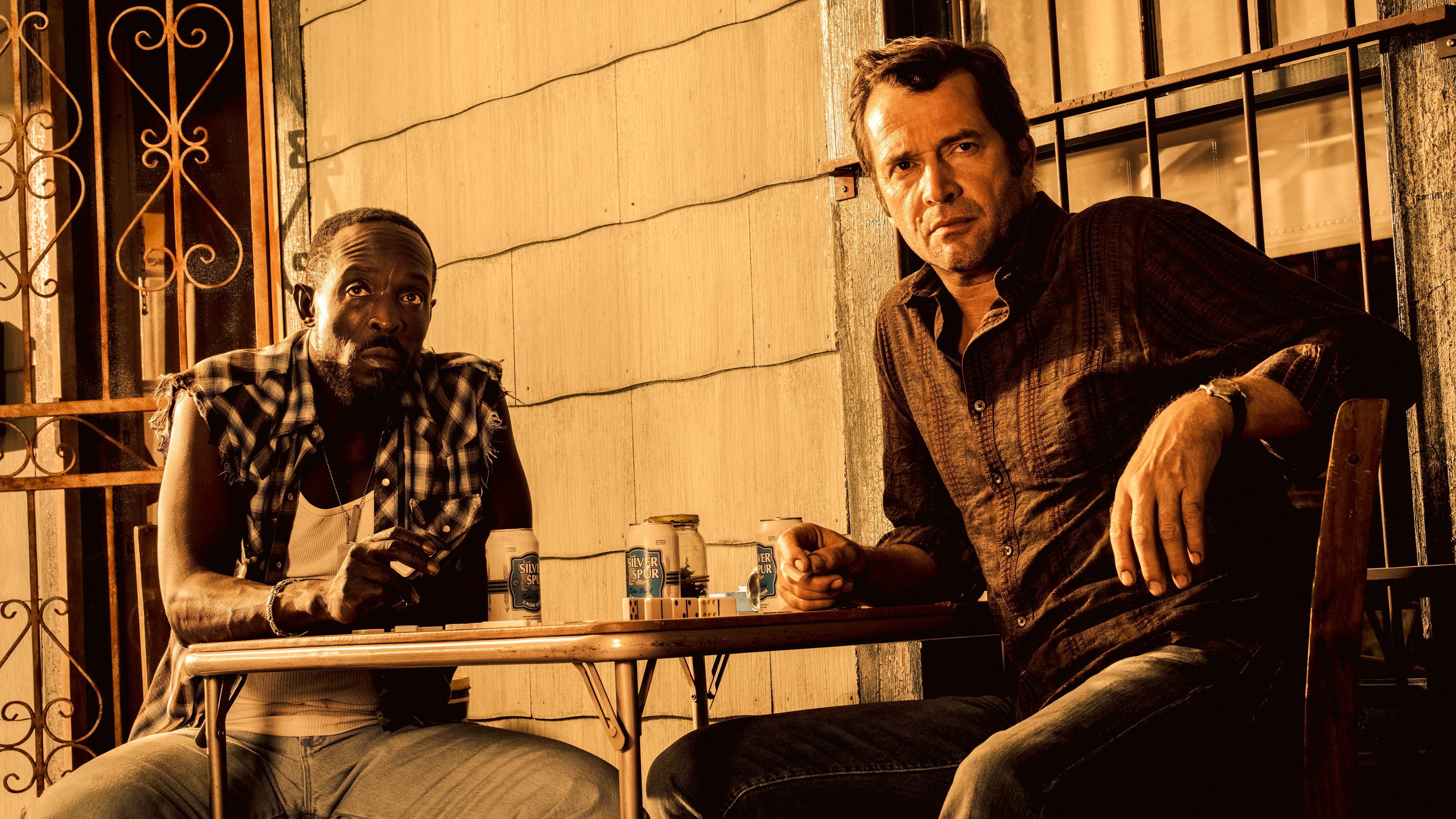 Hap and Leonard Background