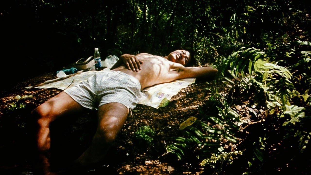 Blissfully Yours Background