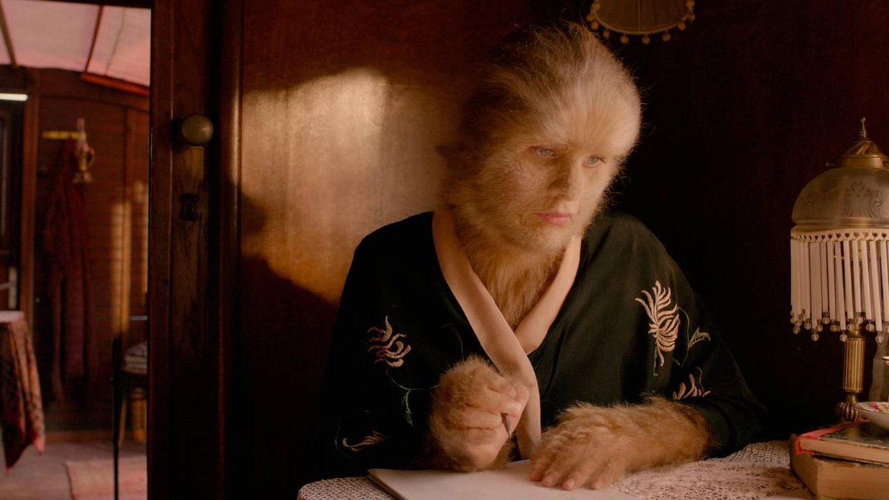 The Lion Woman Background