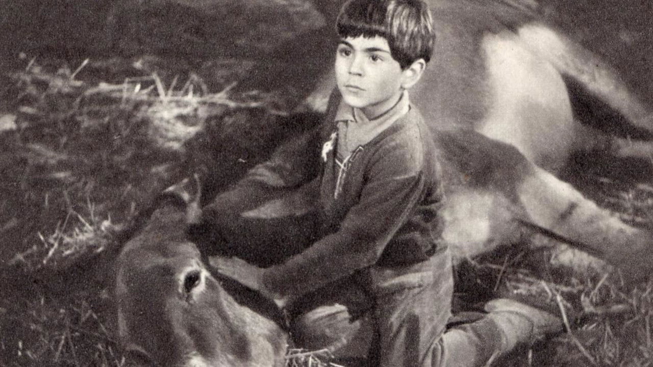 Never Take No for an Answer Background