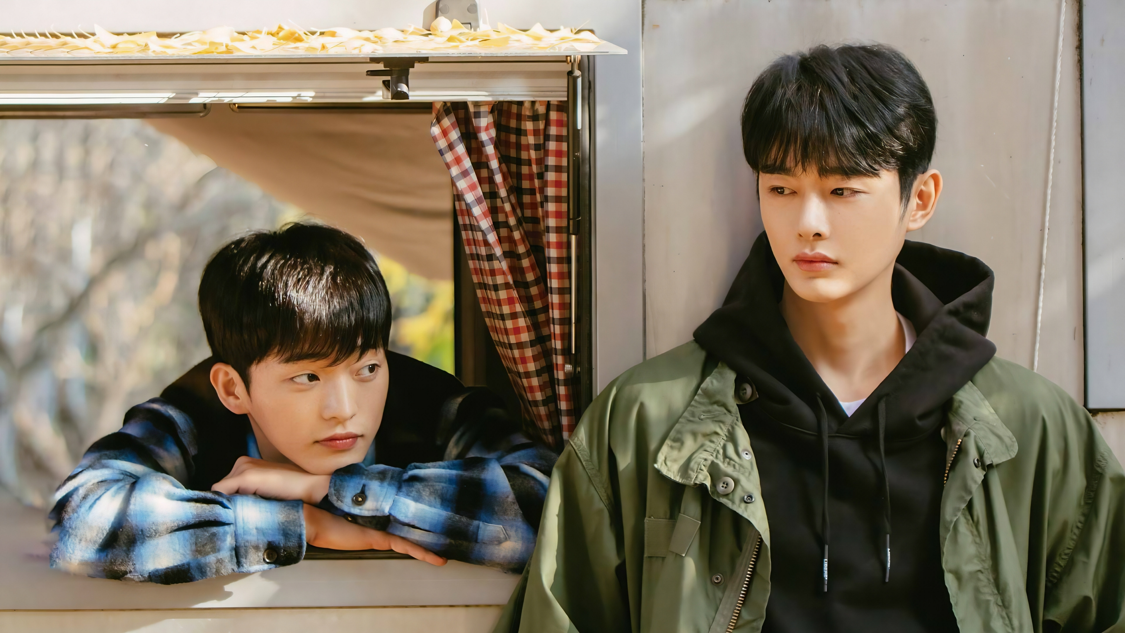 Cherry Blossoms After Winter Background