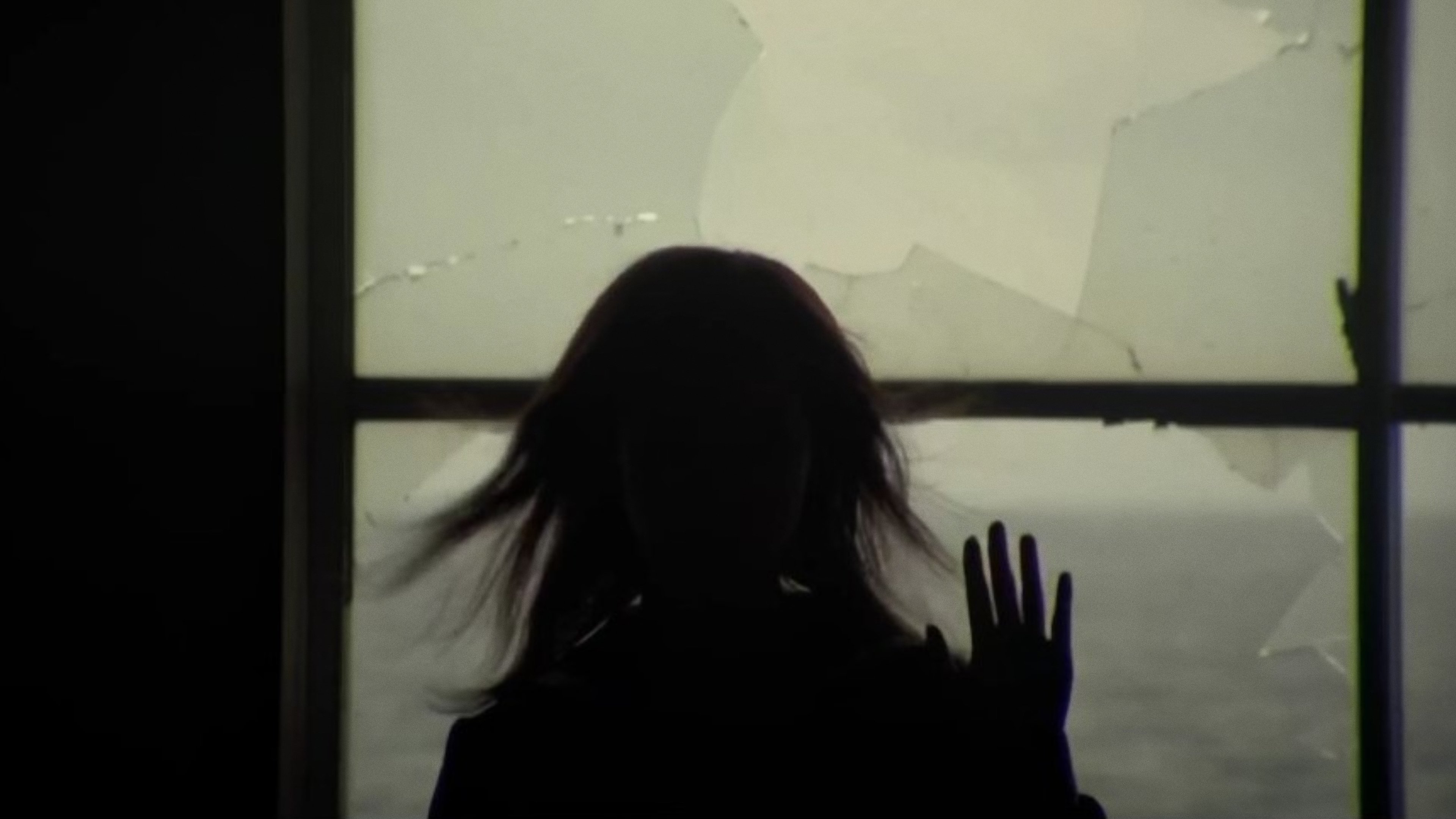 Noriko's Dinner Table Background