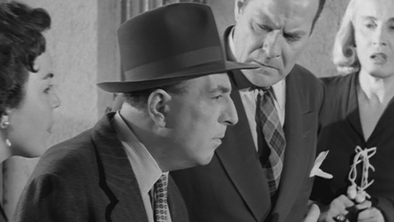 Jealous like a Cat Background