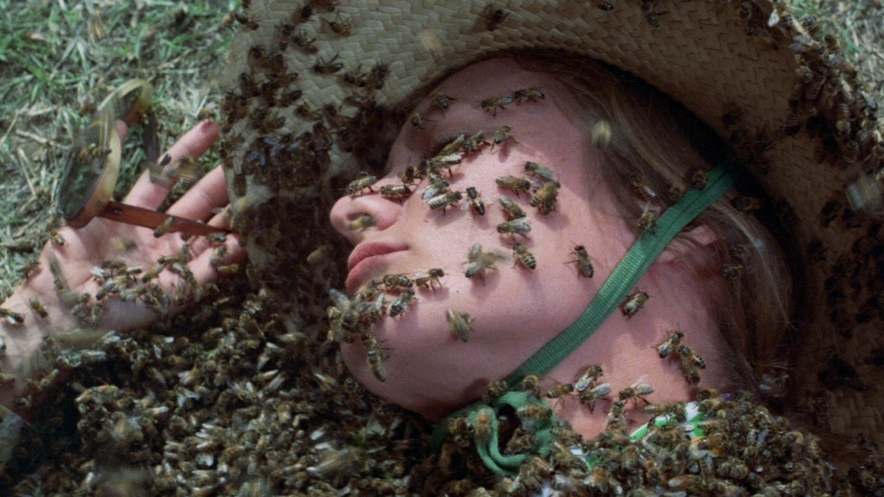 The Swarm Background