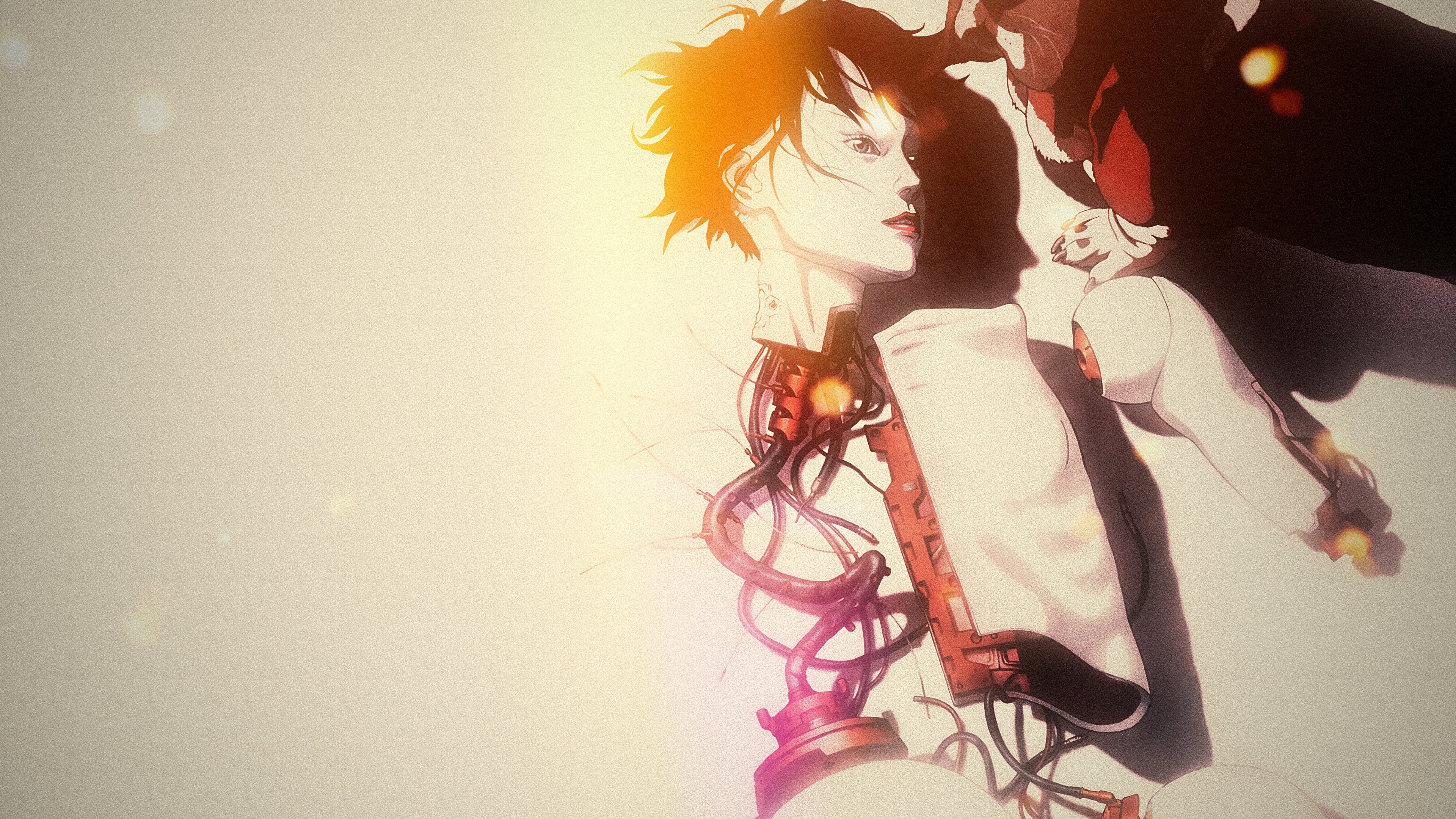 Ghost in the Shell 2: Innocence Background