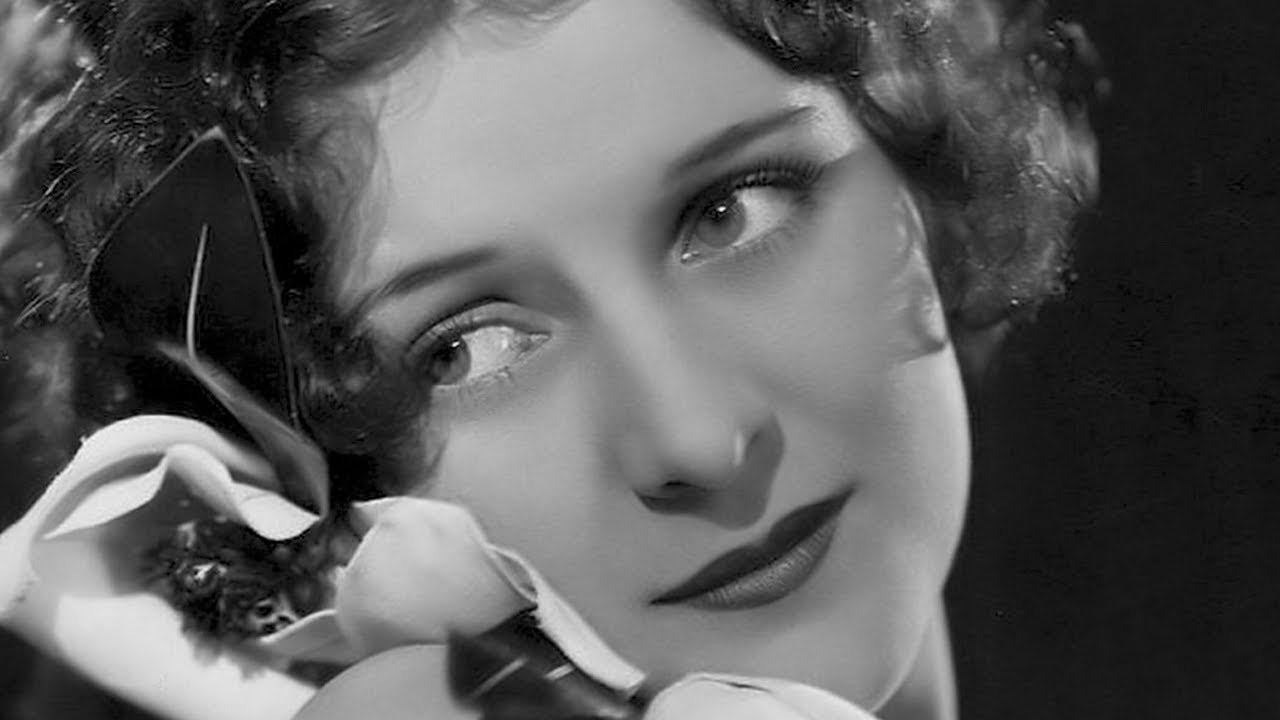 Paradise Island Background