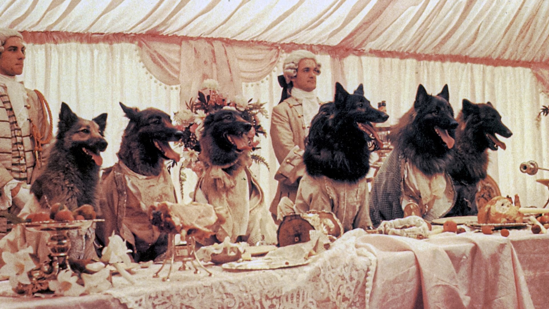 The Company of Wolves Background