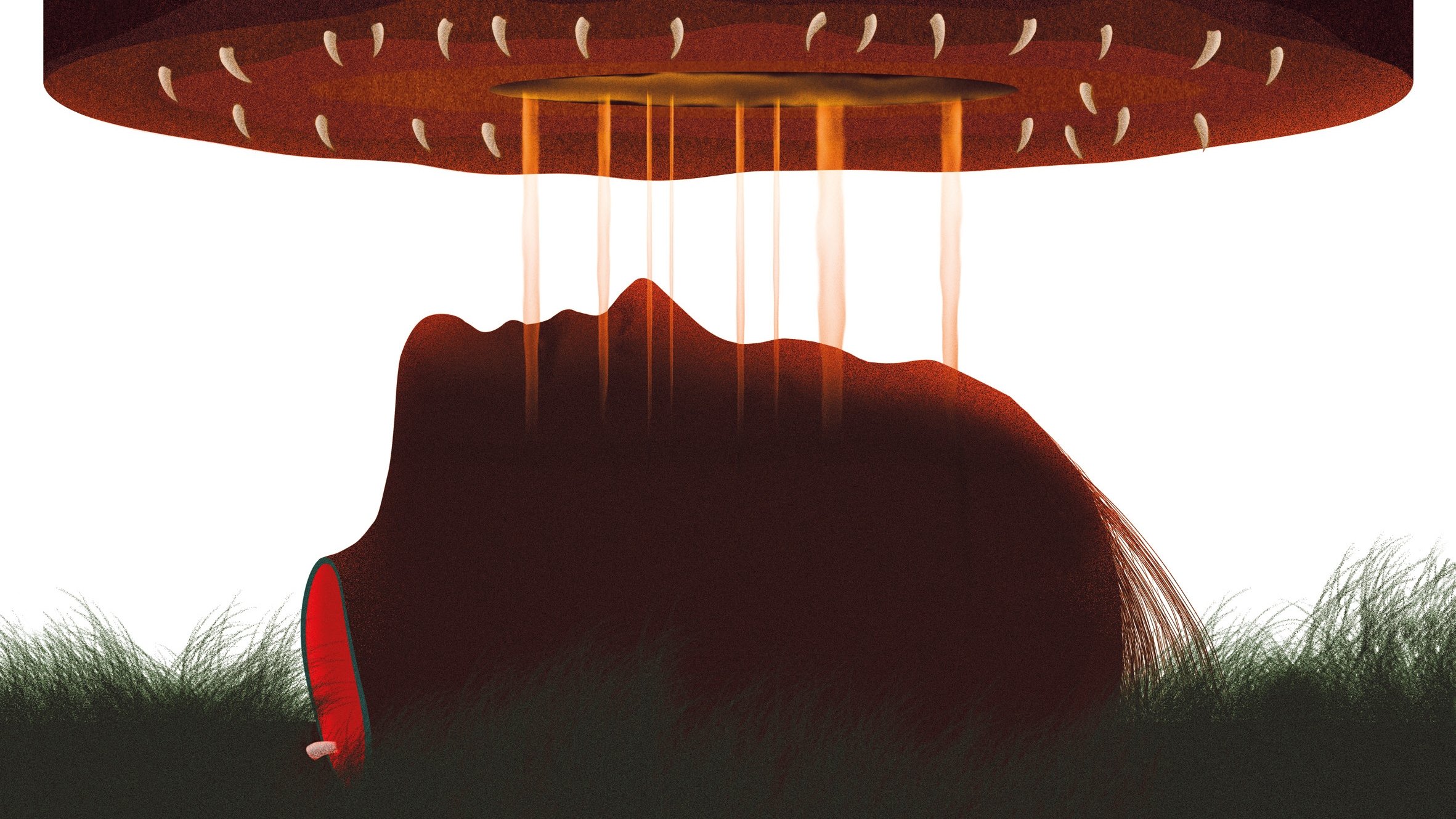 Muere, monstruo, muere Background