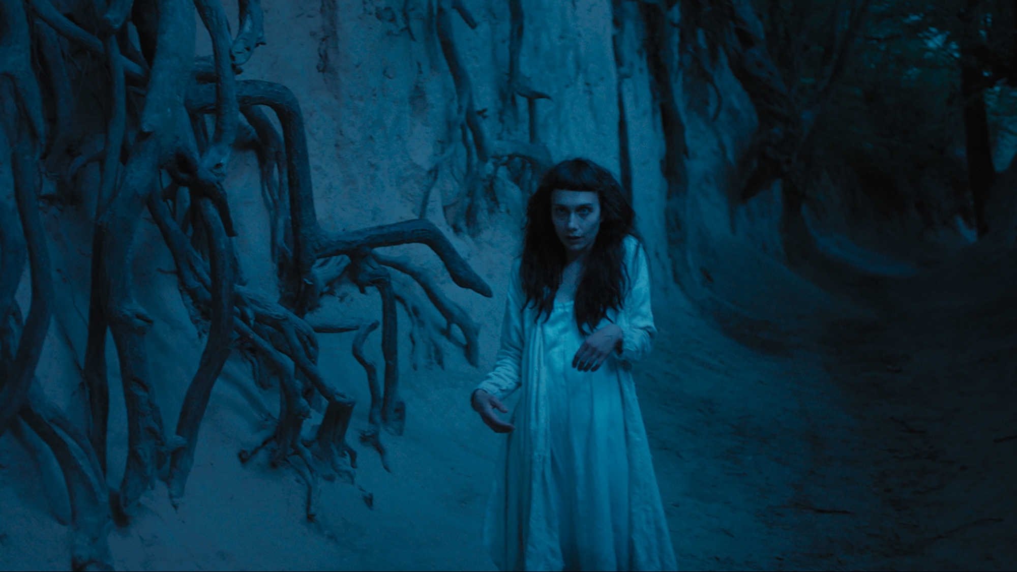 The Field Guide to Evil Background