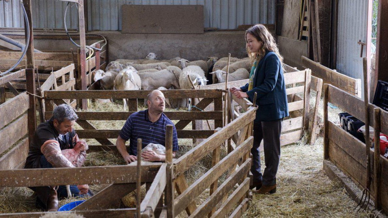 La Doc et le Véto Background