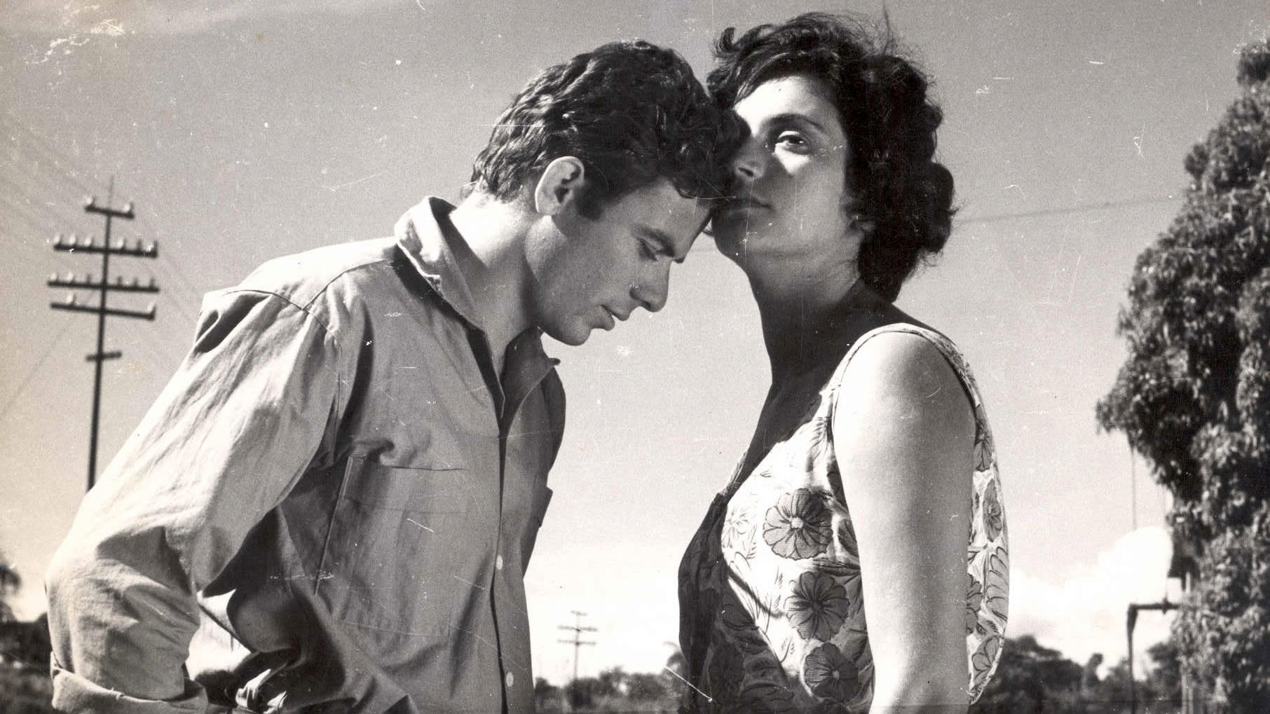 Porto das Caixas Background