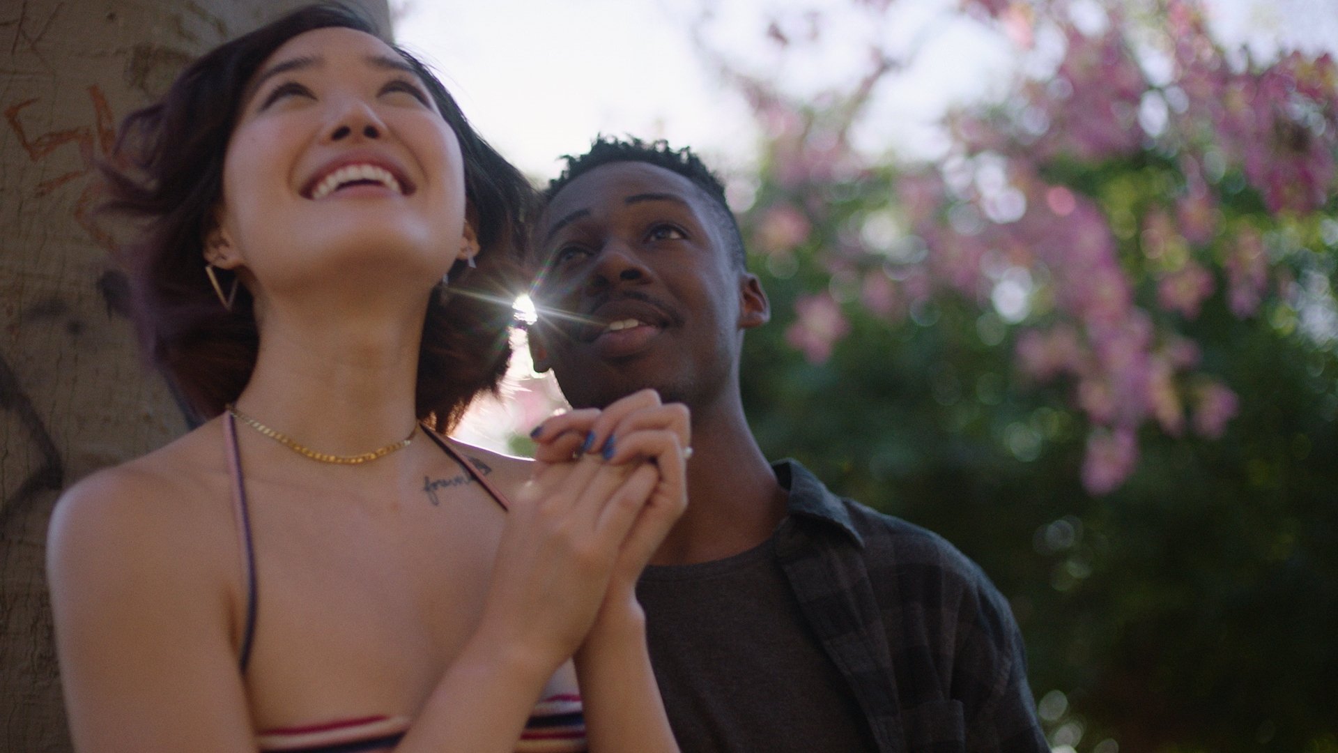 Pink Opaque Background