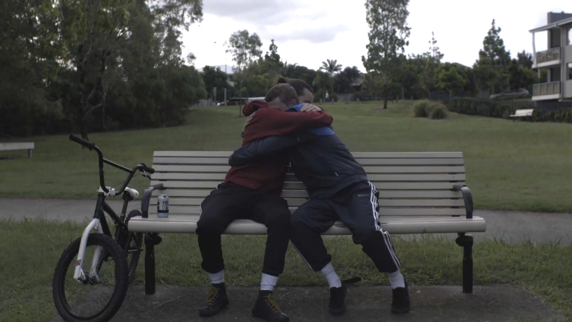 Two Birds in a Cage Background