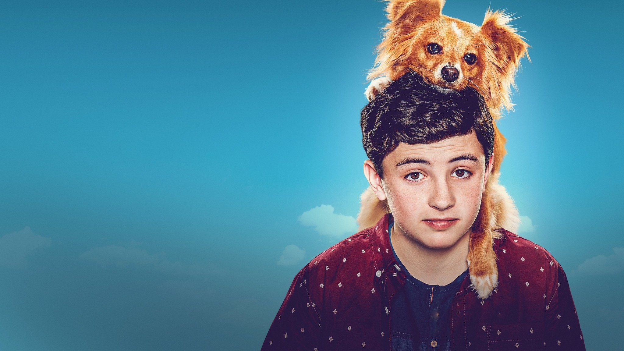 The Healing Powers of Dude Background