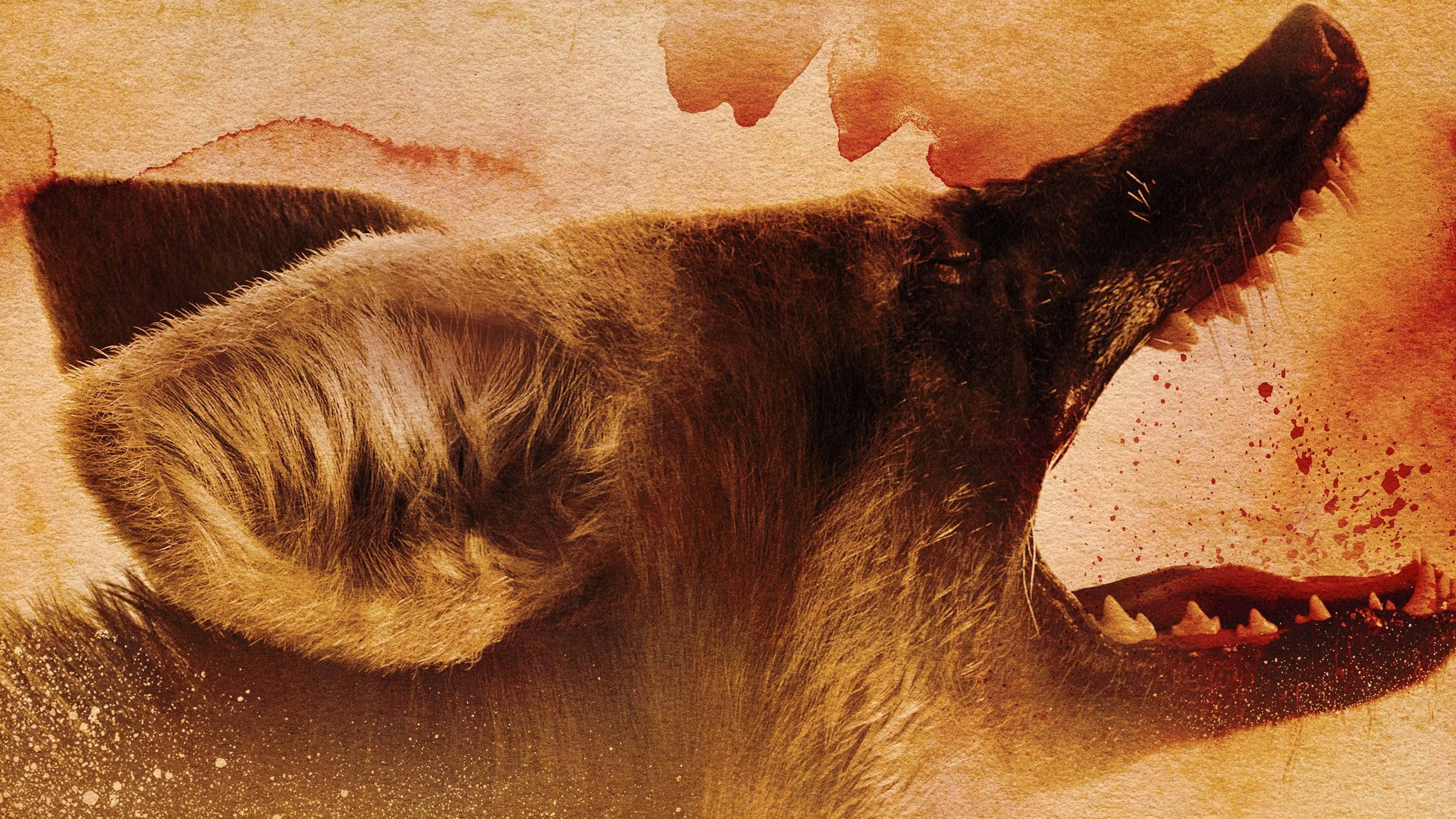 Blood Red: Under the Moonlight Background