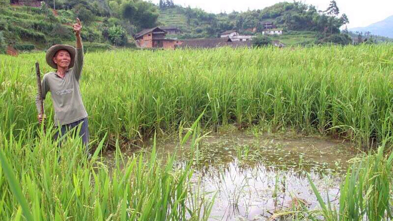 Falling From the Sky Background