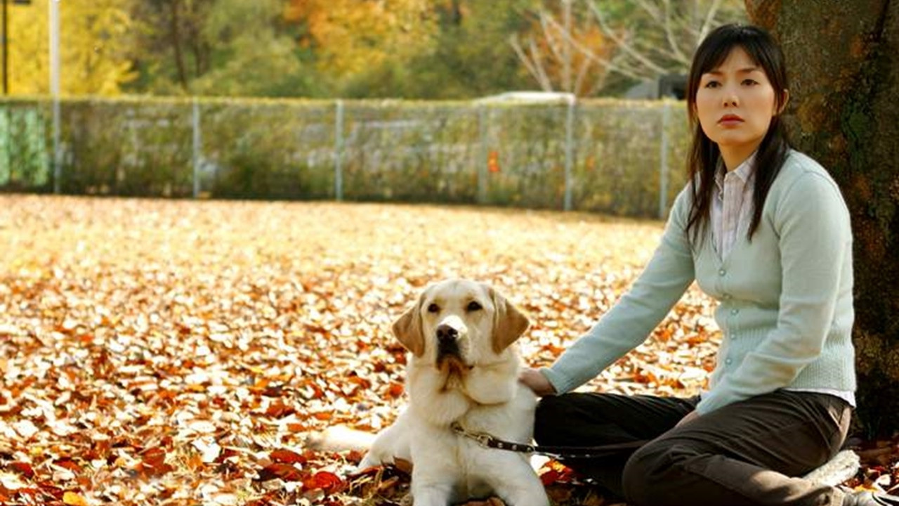 My Love Toram Background