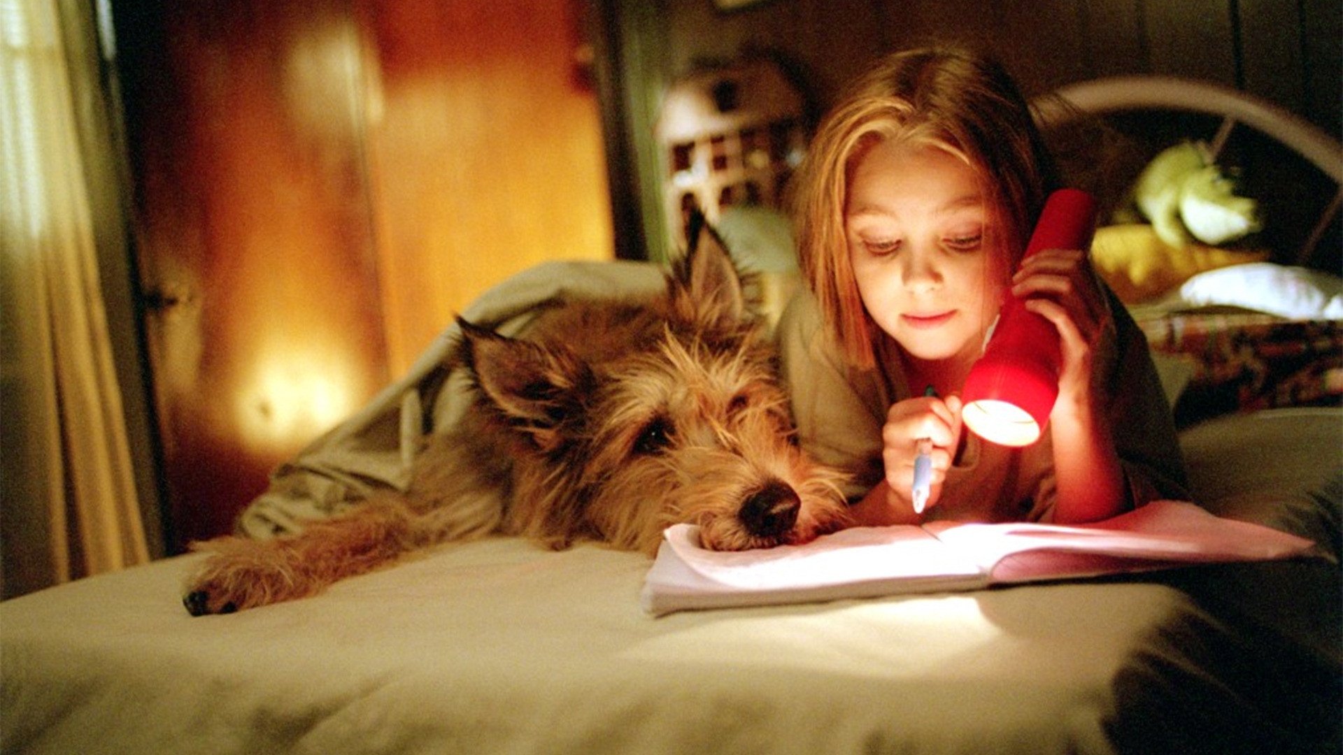 Because of Winn-Dixie Background